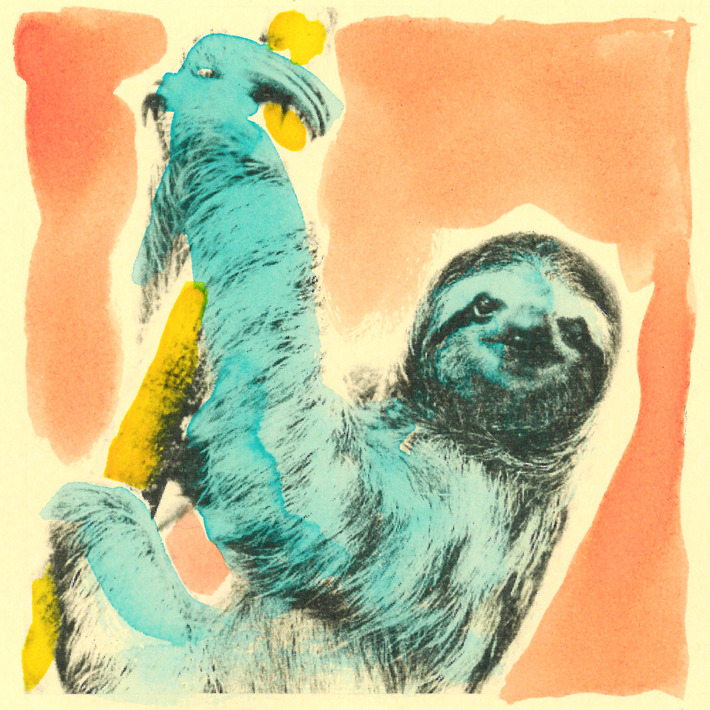 000_sloth_final.nocrop.w710.h2147483647